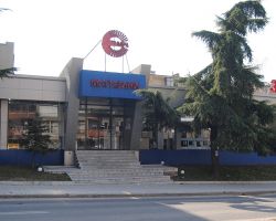 DSC 0351